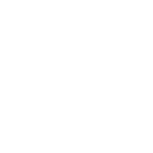 Valemgo Valet Logo